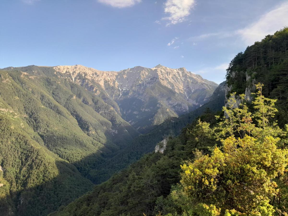 Artemis Home Πέτρα Εξωτερικό φωτογραφία
