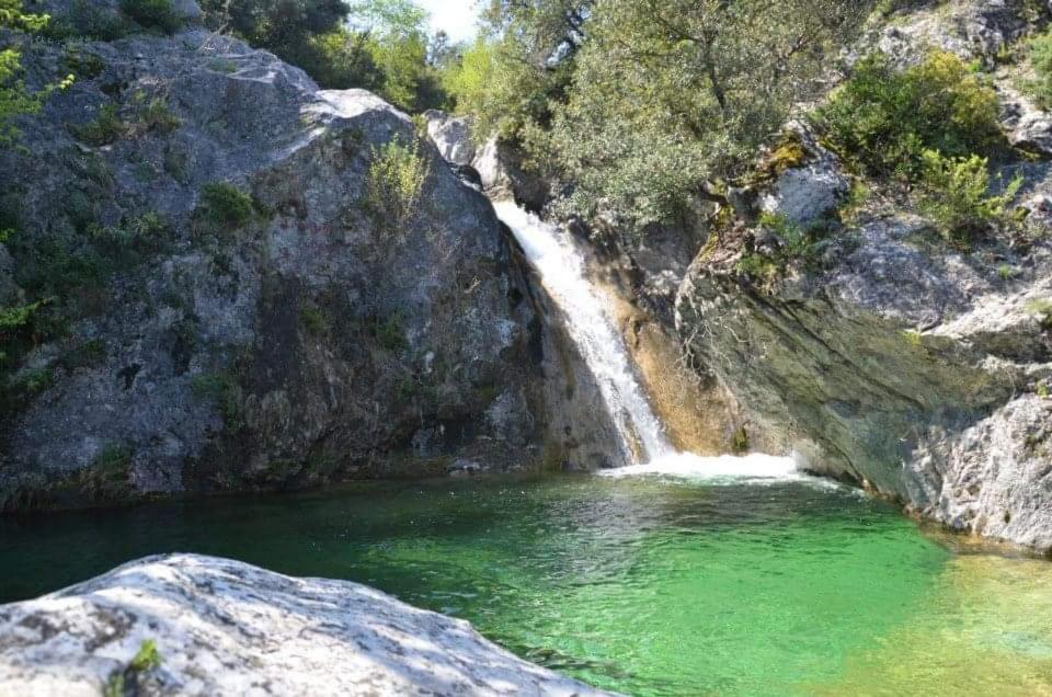 Artemis Home Πέτρα Εξωτερικό φωτογραφία