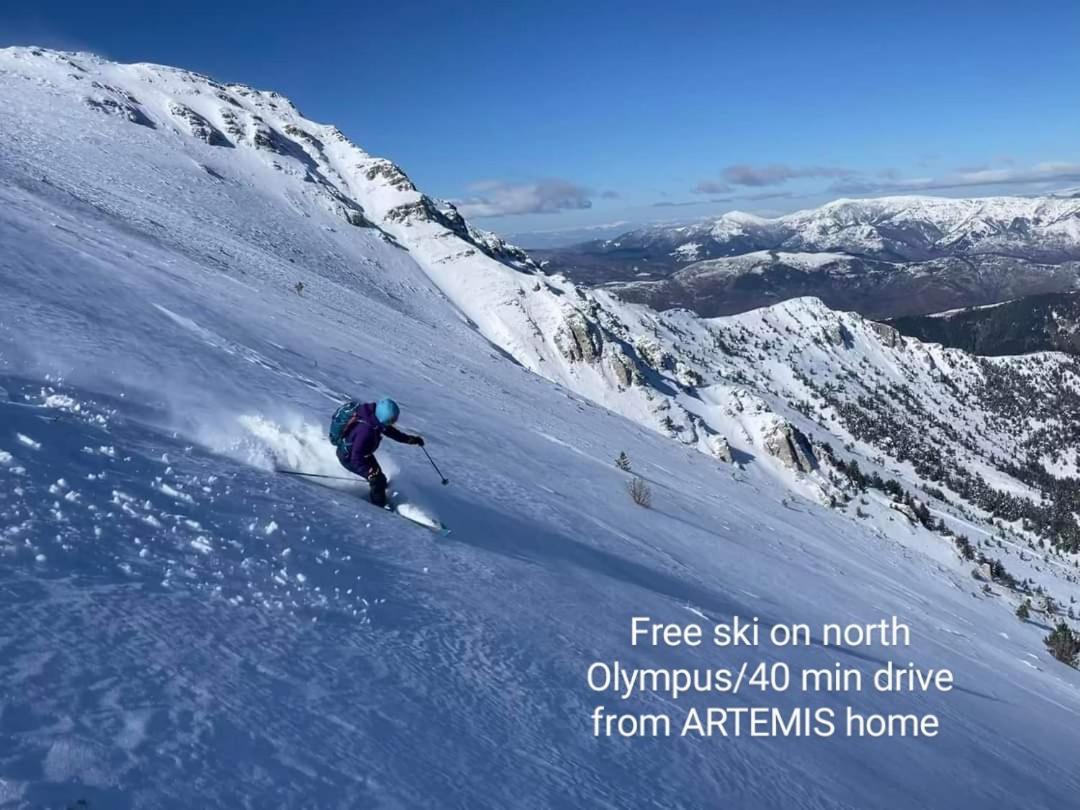 Artemis Home Πέτρα Εξωτερικό φωτογραφία